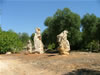 I Menhir: presenti da centinaia di secoli nel Salento